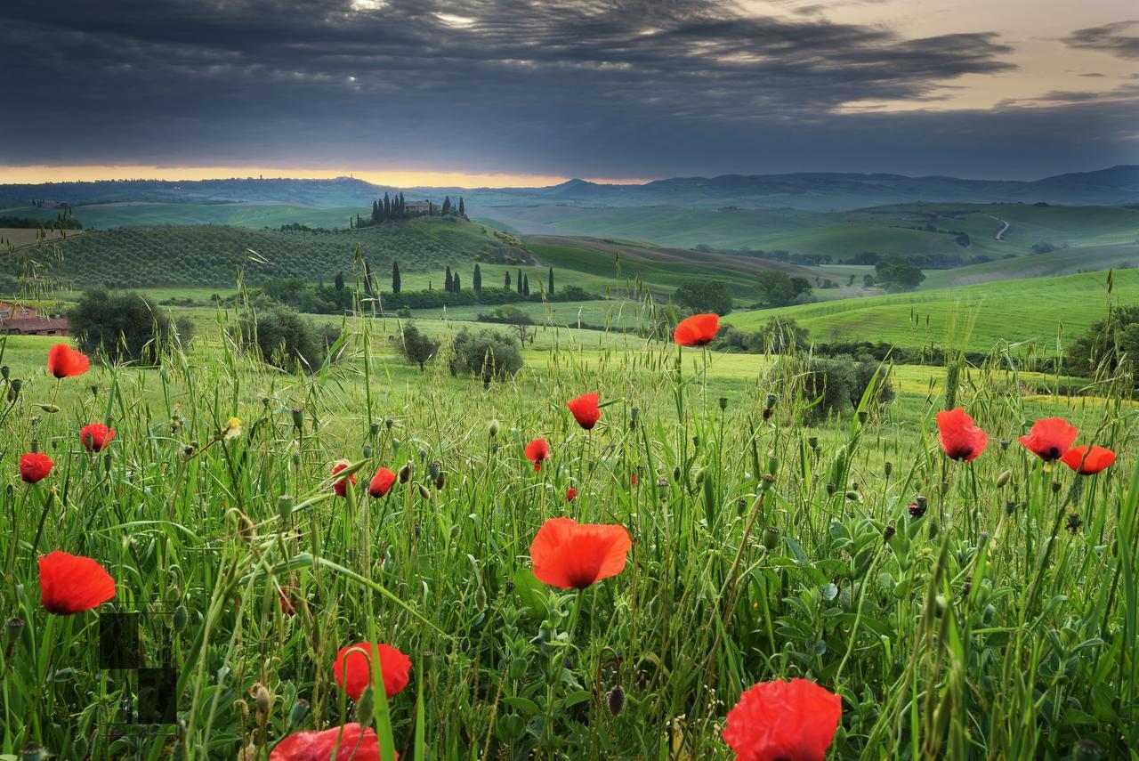 La Bellavita B&B Pienza Luaran gambar